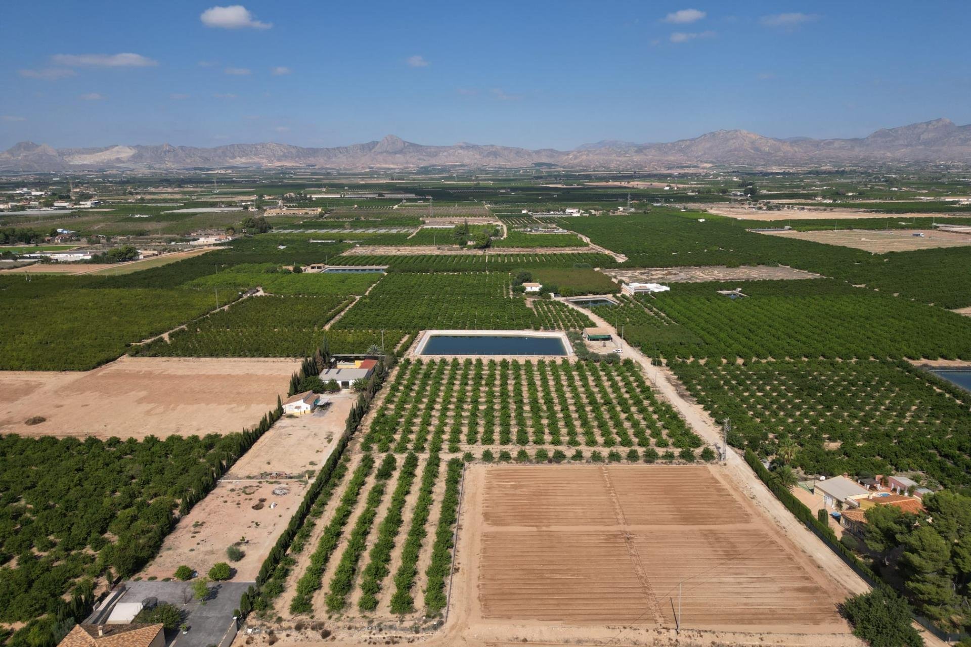 Reventa - Terreno rural - Orihuela - La Murada-Los Vicentes