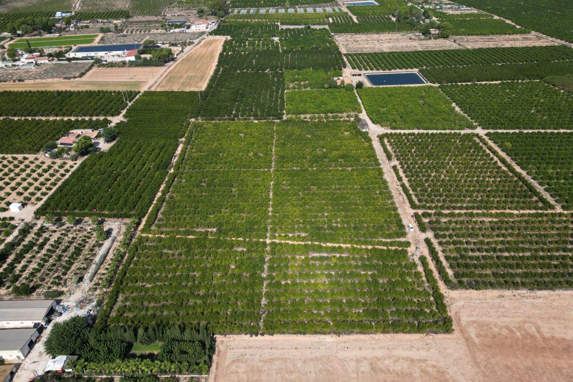 Reventa - Terreno rural - Orihuela - La Murada-Los Vicentes