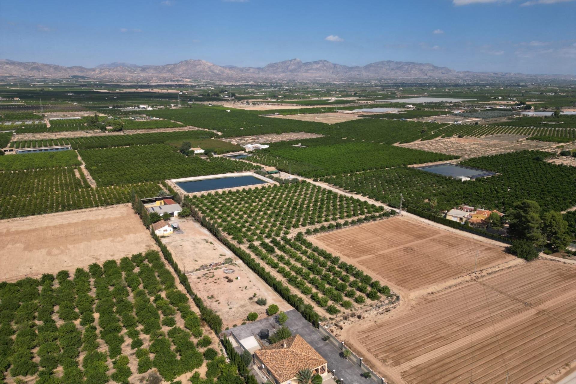 Reventa - Terreno rural - Orihuela - La Murada-Los Vicentes