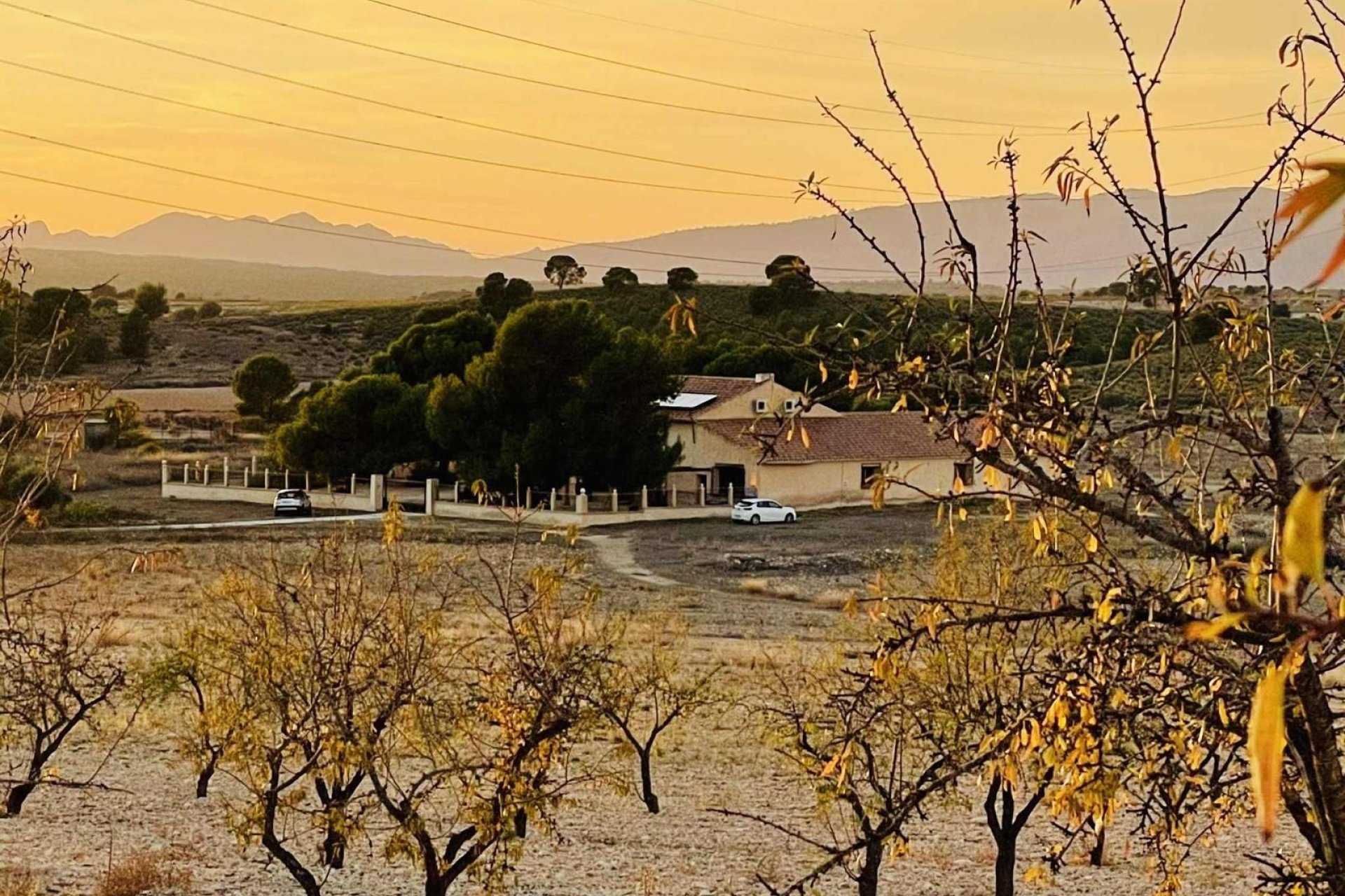 Reventa - Terreno urbanizable - Pinoso - A 2 km de la ciudad