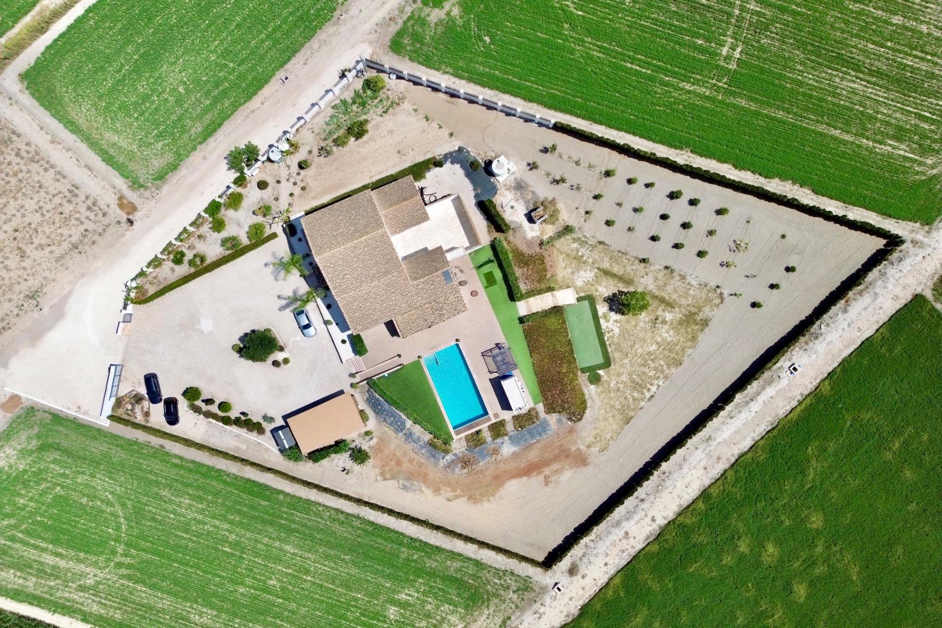 Reventa - Villa de Lujo - Dolores - Comunidad valenciana