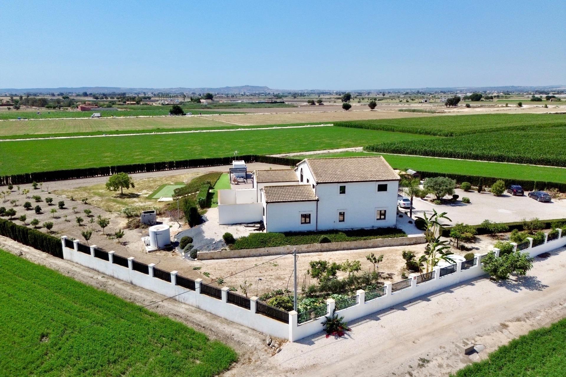 Reventa - Villa de Lujo - Dolores - Comunidad valenciana