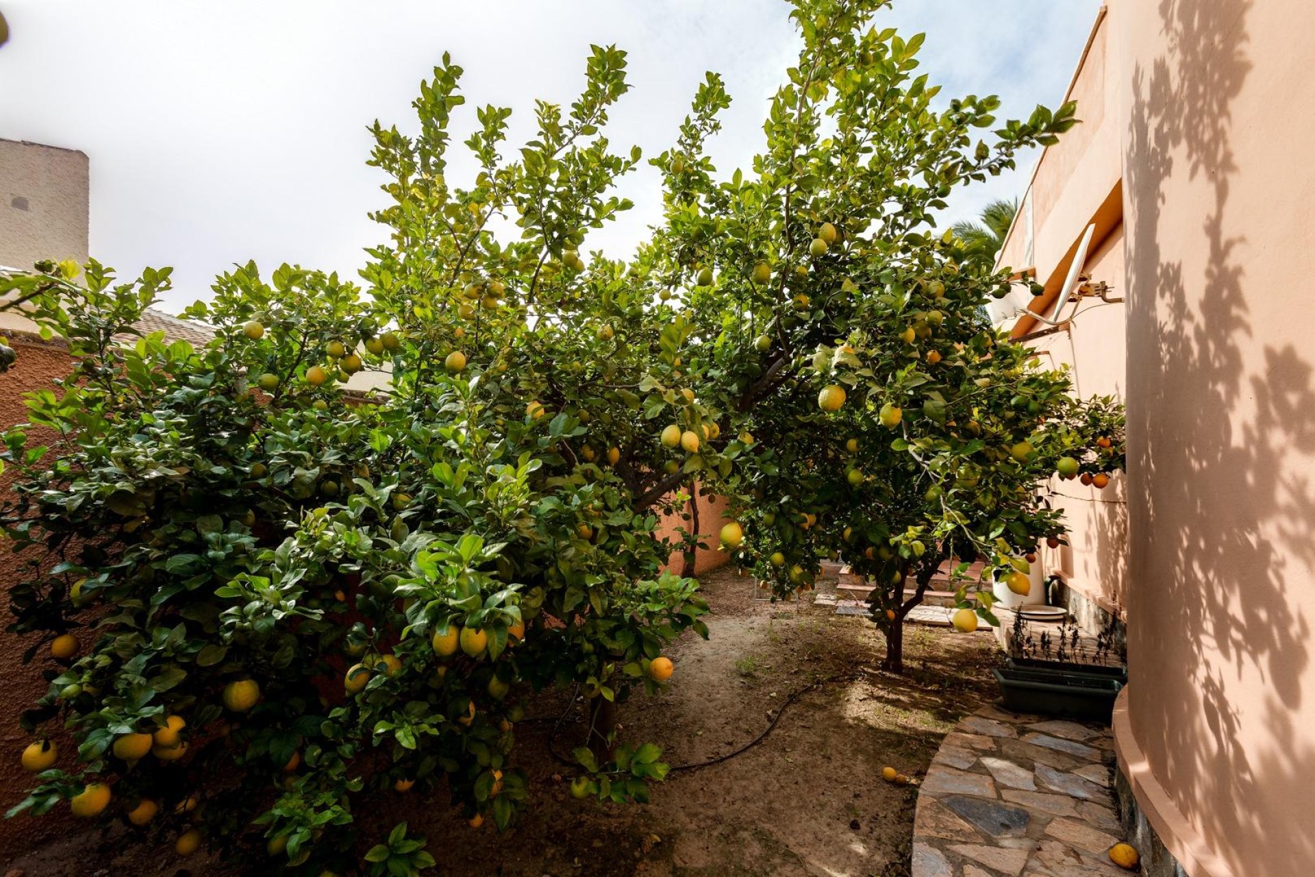 Reventa - Villa de Lujo - Torrevieja - San luis