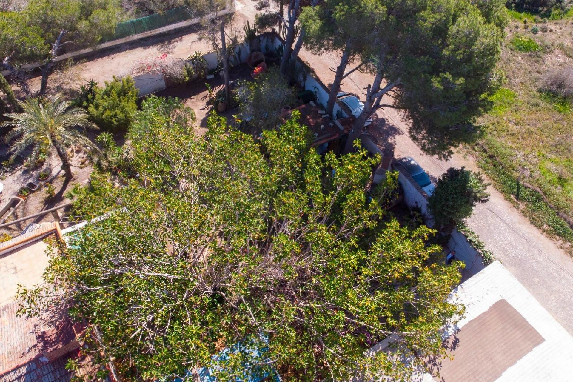 Reventa - Villa - Orihuela Costa - Lomas de Cabo Roig-Los Dolses