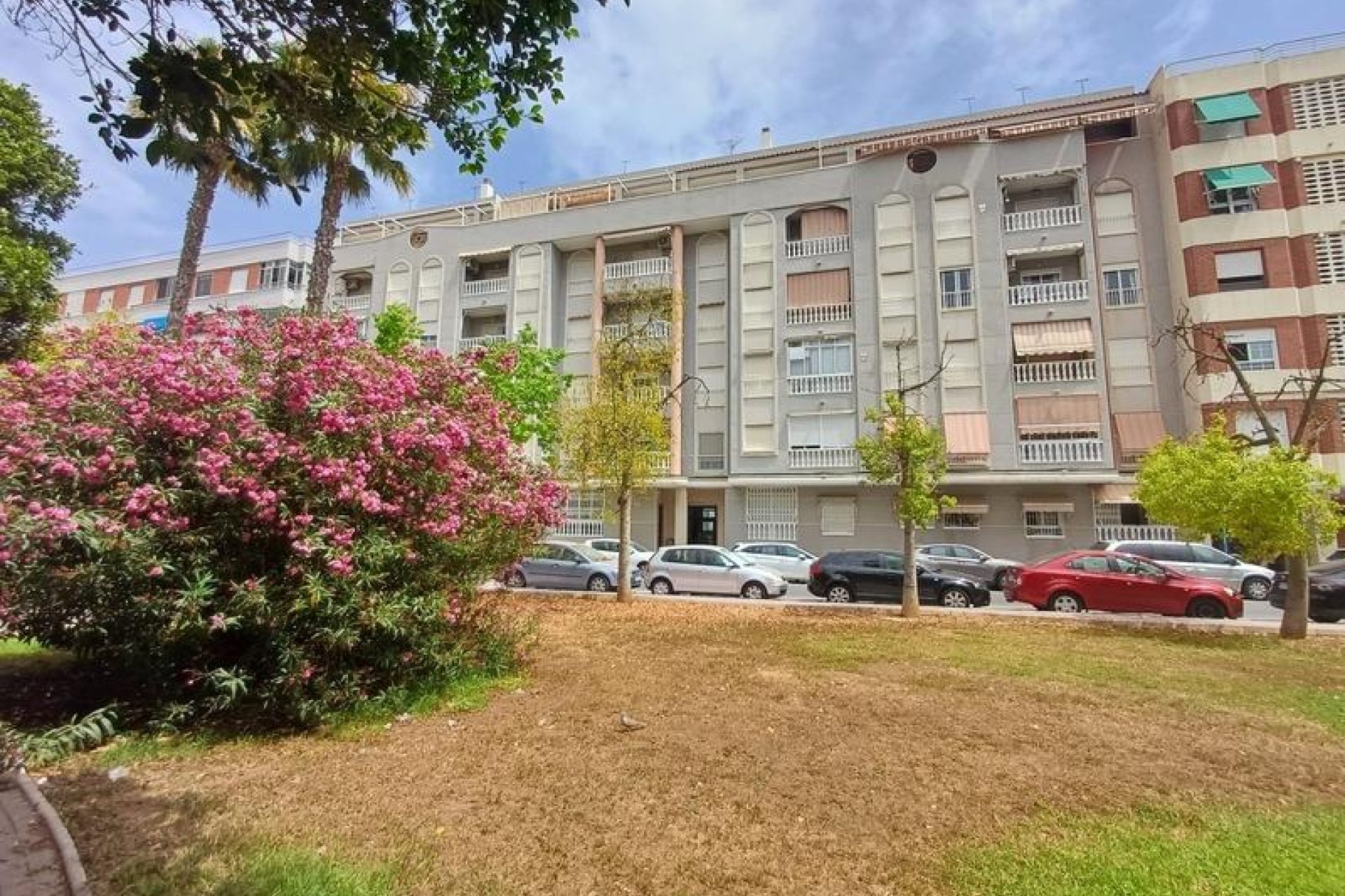 Revente - Apartamento - Torrevieja - Acequion