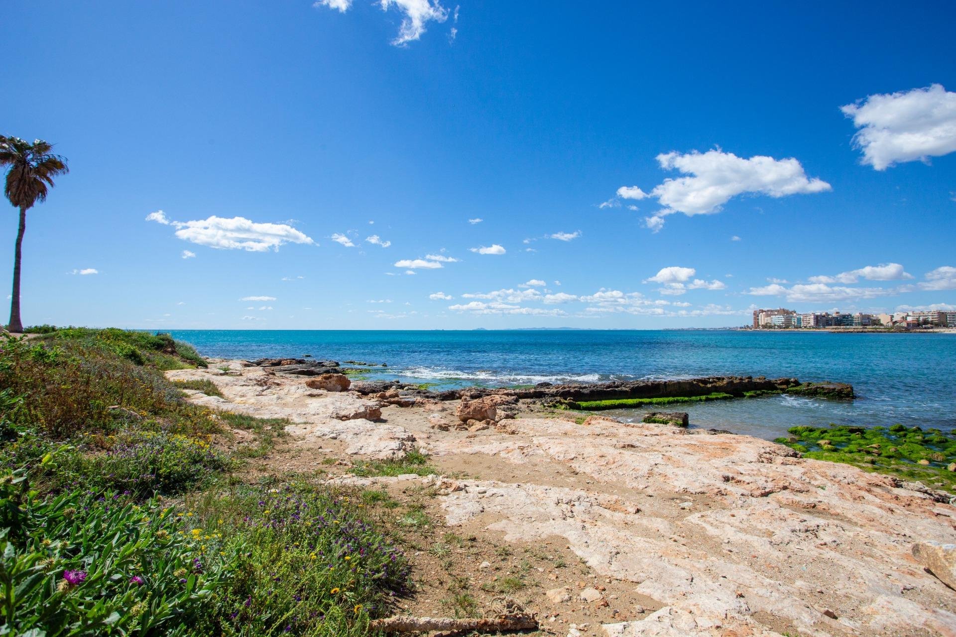 Revente - Apartamento - Torrevieja - Centro - Muelle Pesquero