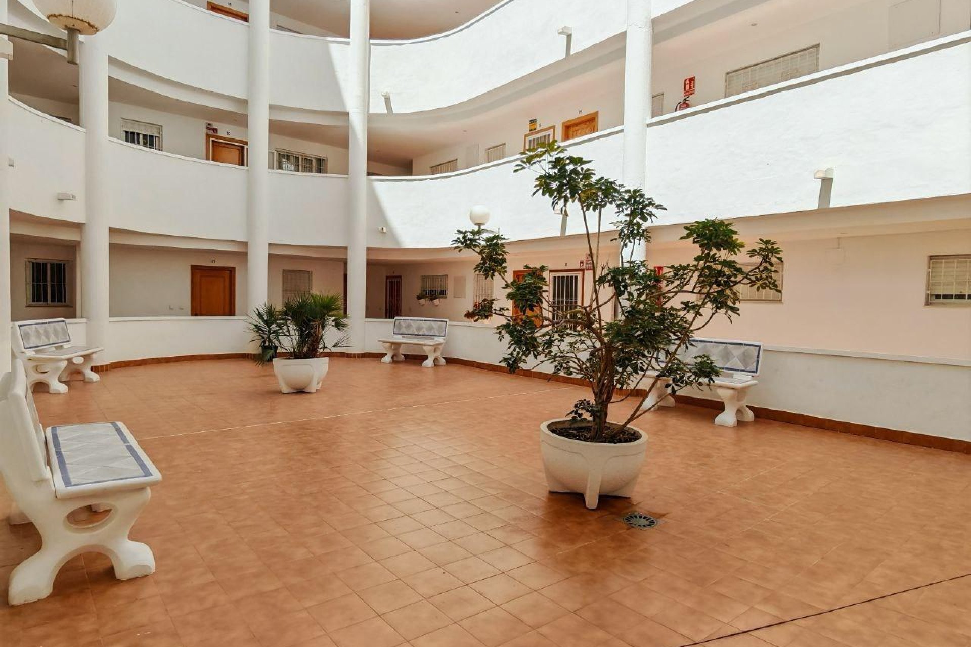 Revente - Apartamento - Torrevieja - Centro