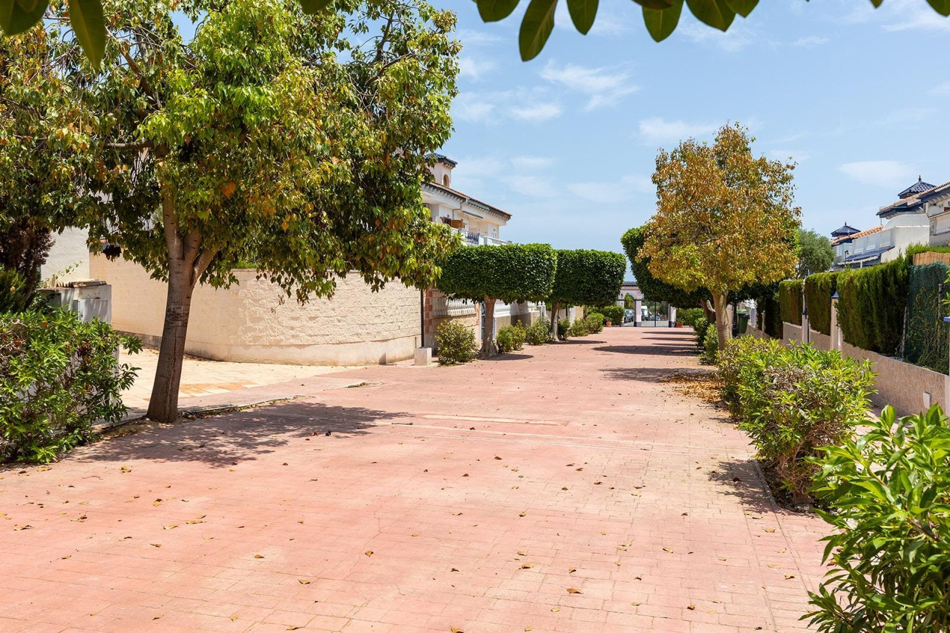 Revente - Apartamento - Torrevieja - Estacion de autobuses