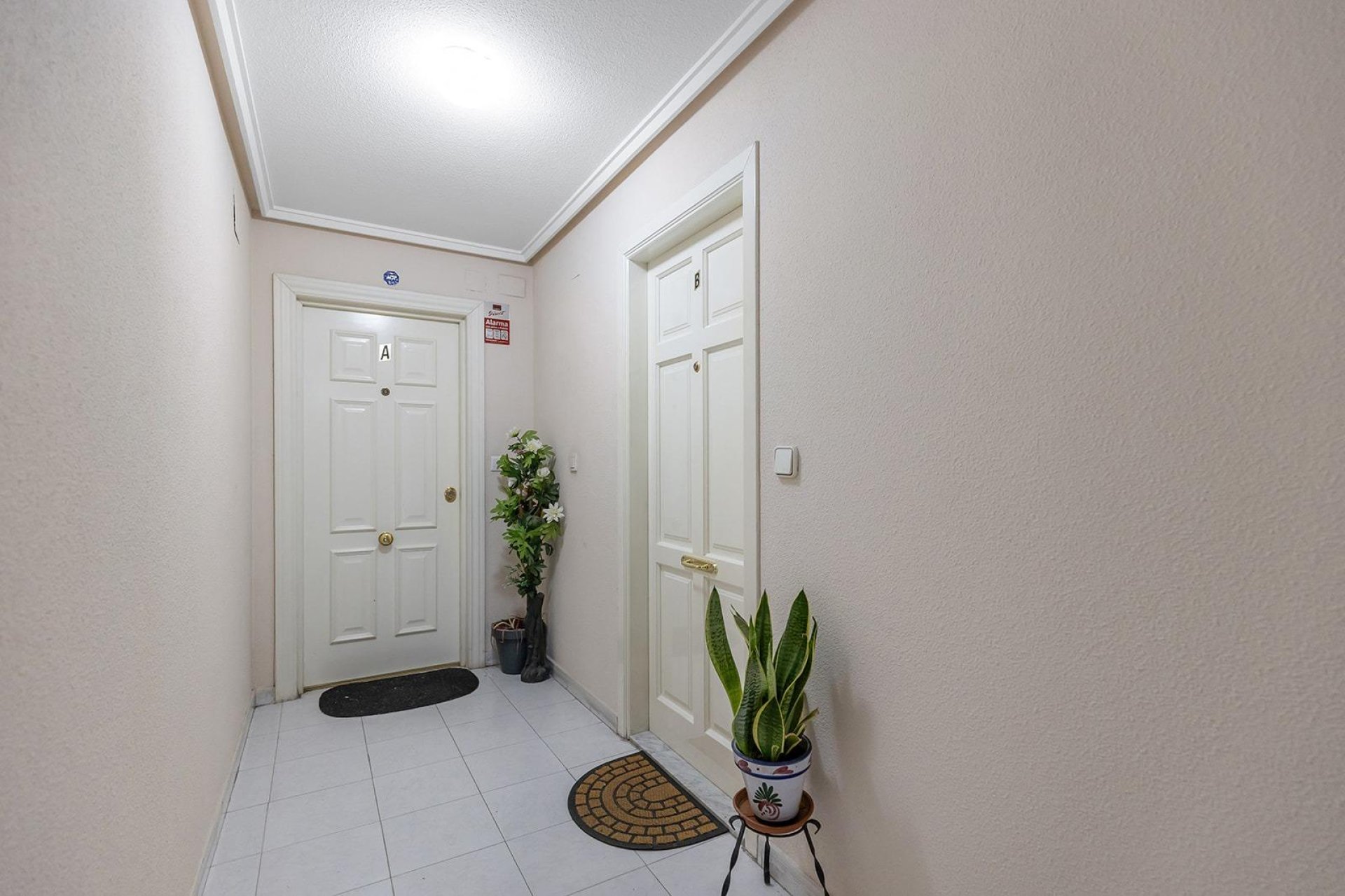 Revente - Apartamento - Torrevieja - Estacion de autobuses