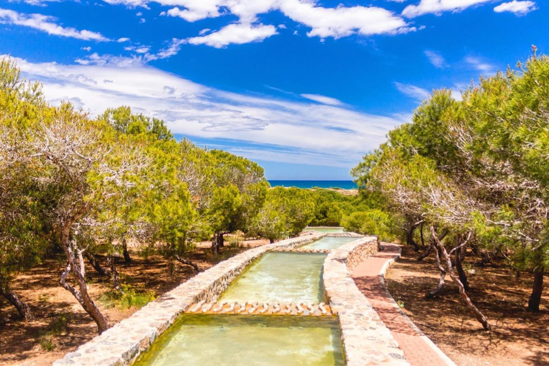 Revente - Apartamento - Torrevieja - La Mata