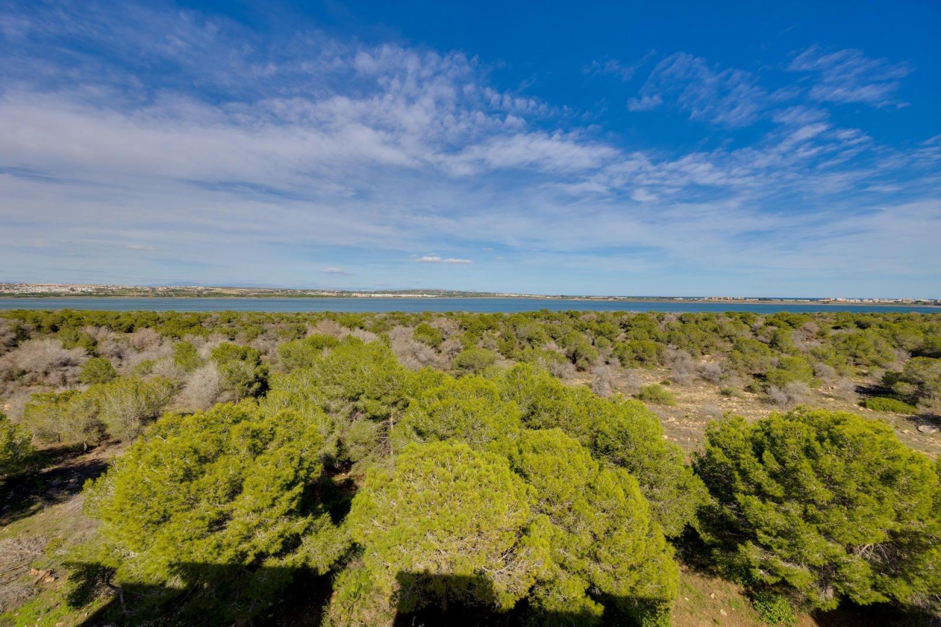 Revente - Apartamento - Torrevieja - La Siesta - El Salado - Torreta