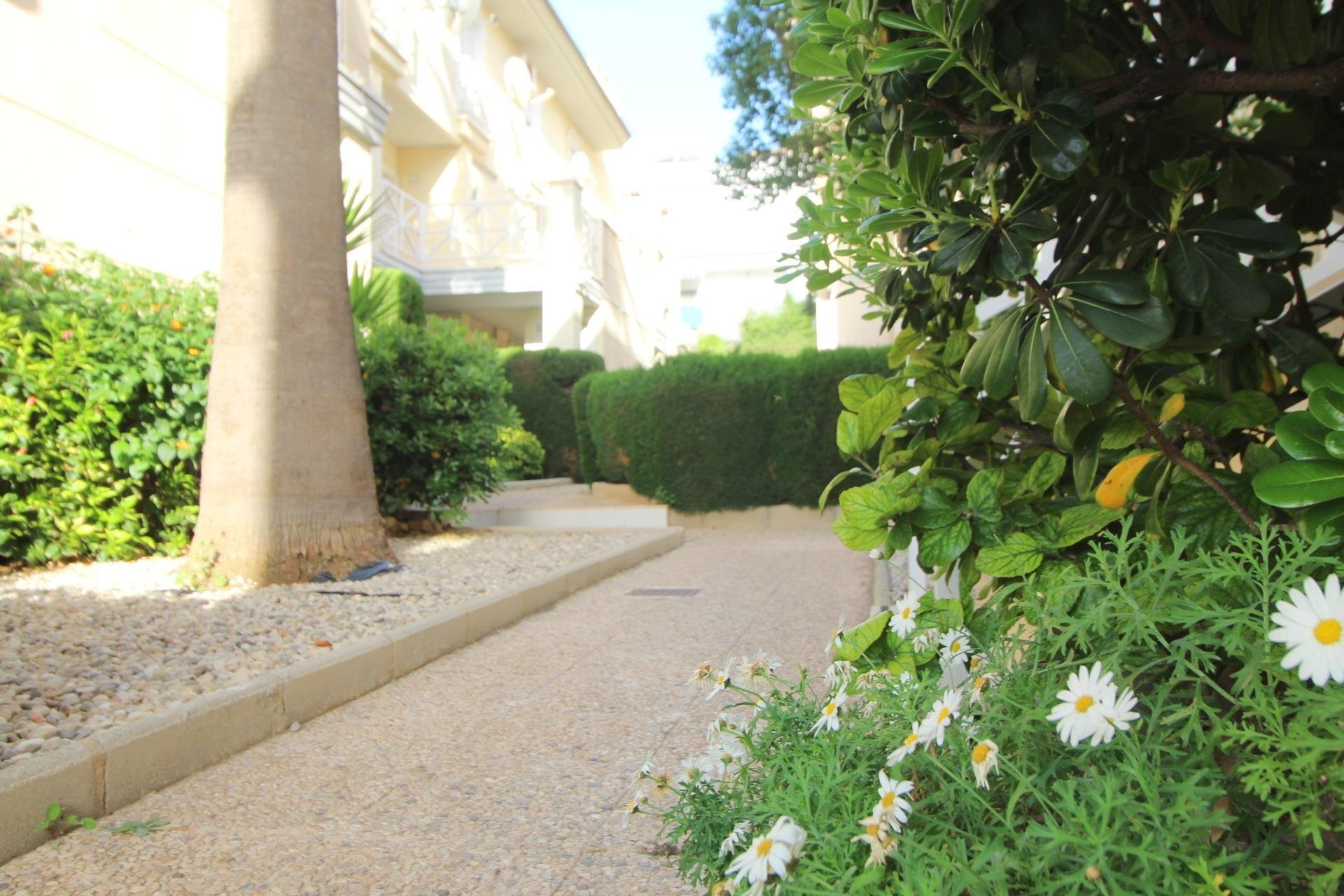 Revente - Apartamento - Torrevieja - La veleta