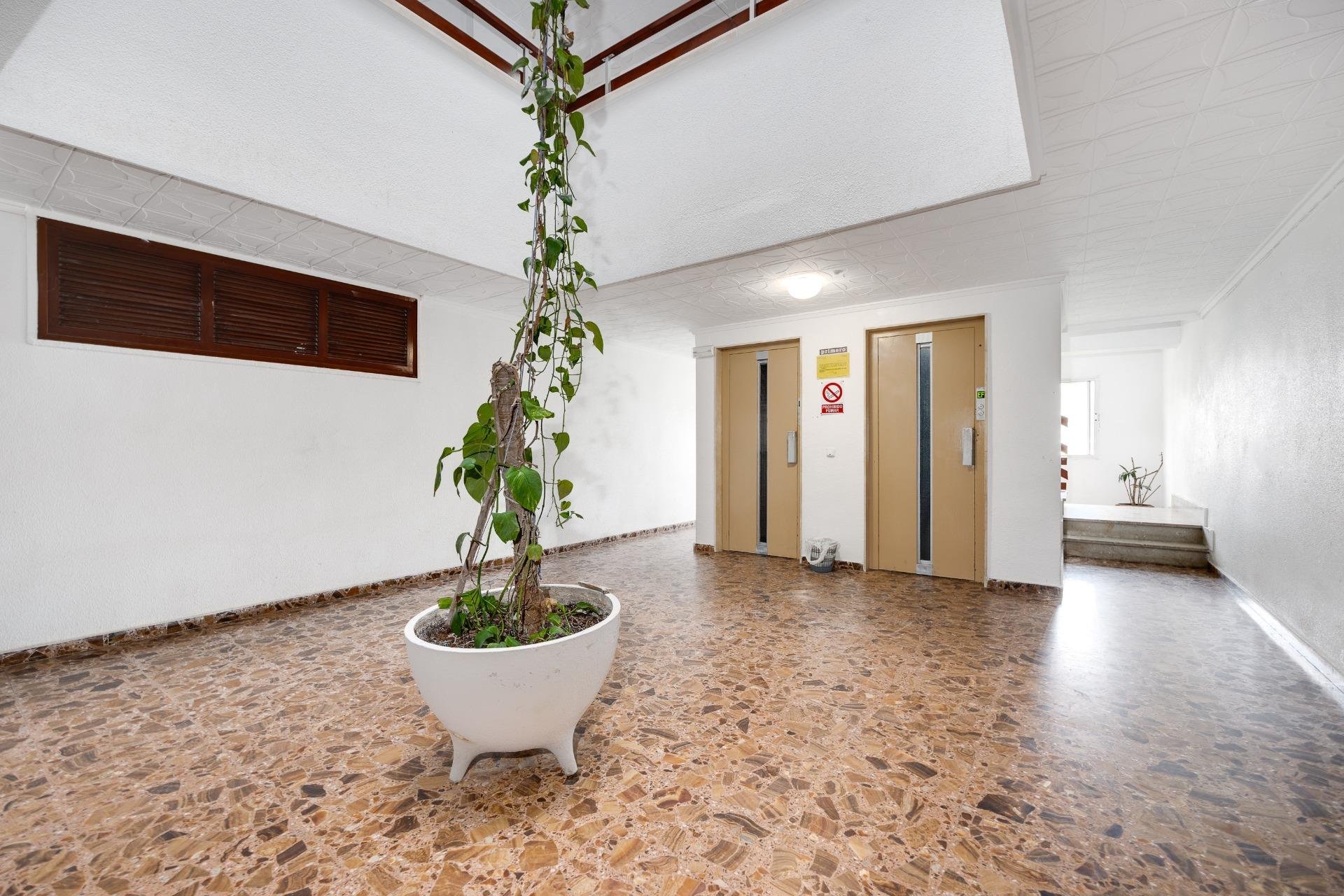 Revente - Apartamento - Torrevieja - Punta prima