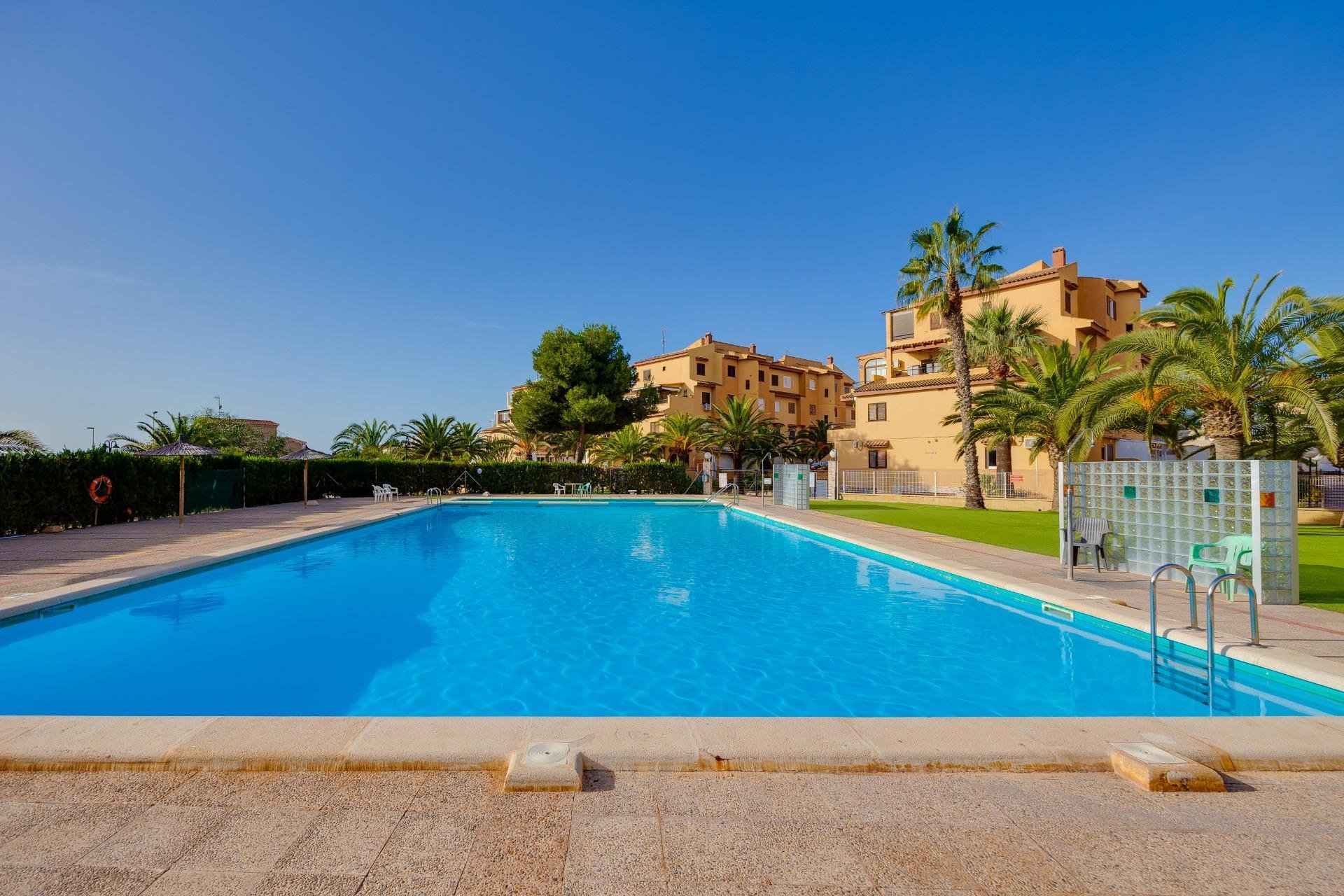 Revente - Apartamento - Torrevieja - Torreblanca