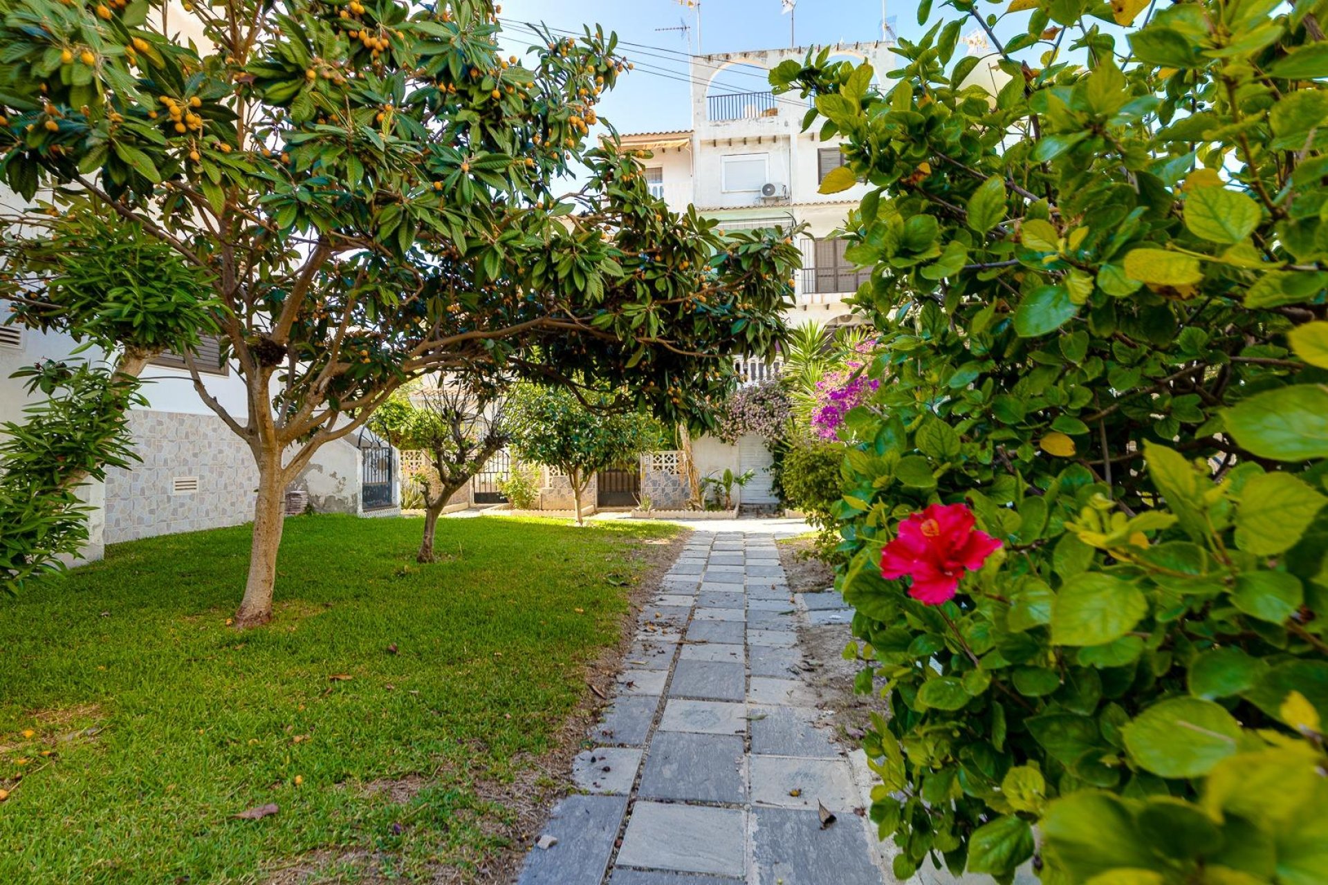 Revente - Attique - Torrevieja - Calas blanca