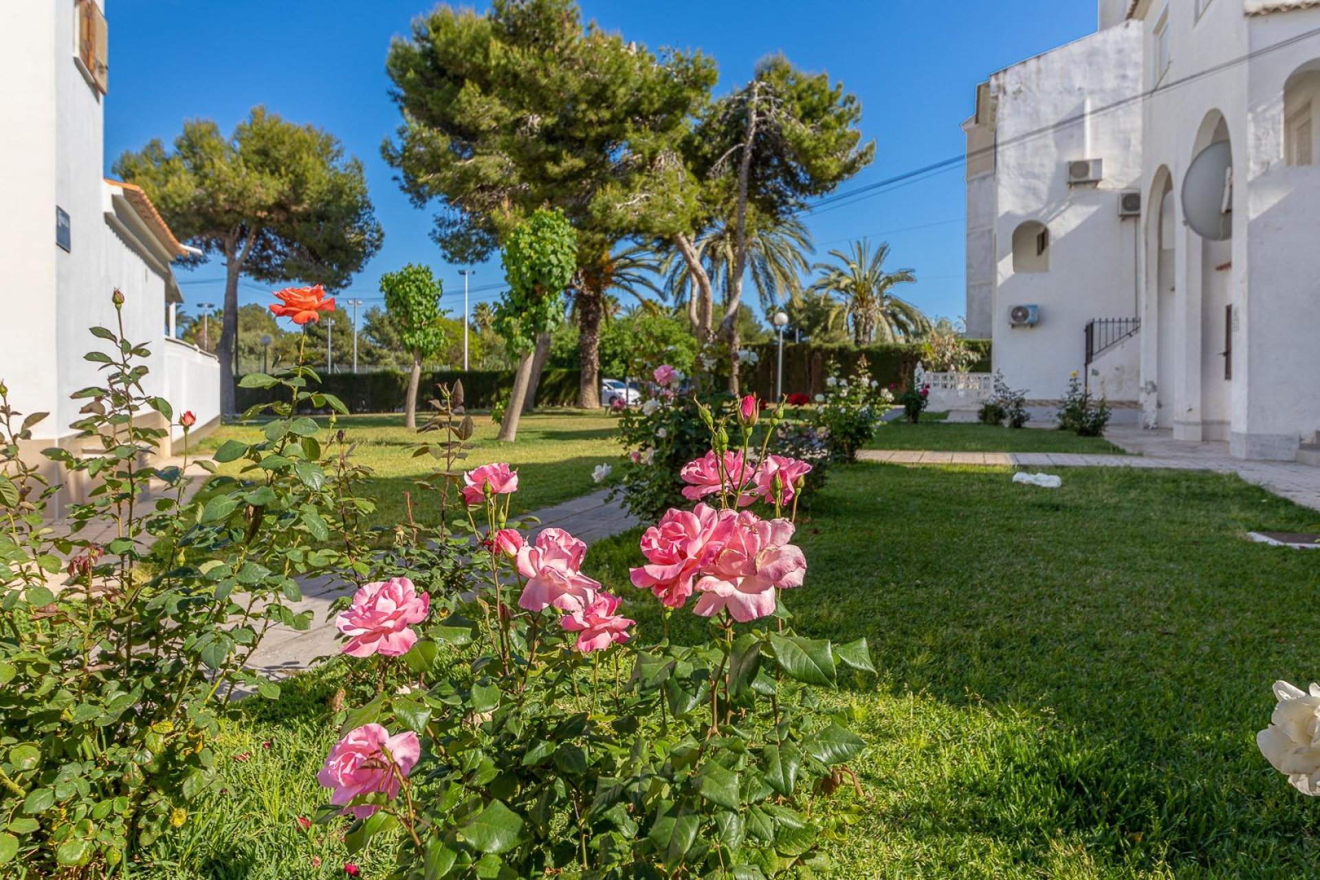 Revente - Attique - Torrevieja - Calas blanca