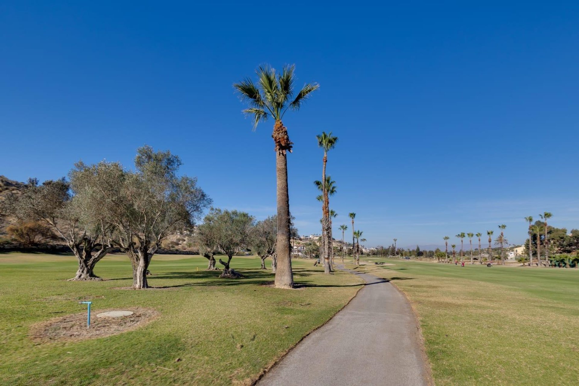 Revente - Bungalow - Ciudad quesada - Pueblo lucero