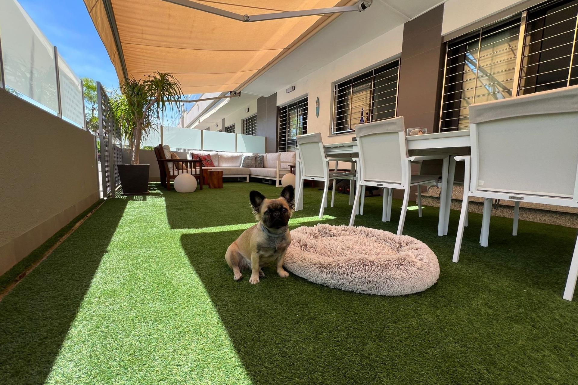 Revente - Bungalow Planta Baja - Pilar de la Horadada - Torre de la Horadada