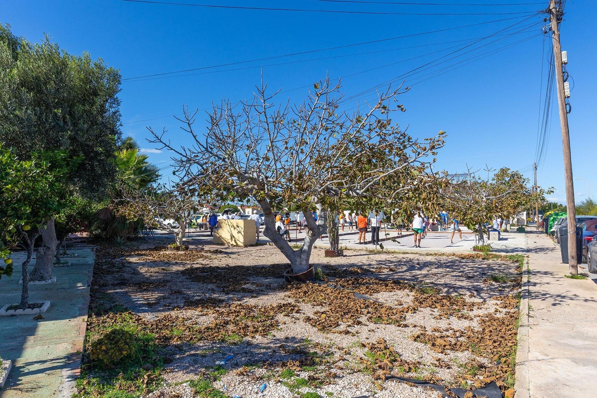 Revente - Bungalow - Torrevieja - La Siesta - El Salado - Torreta