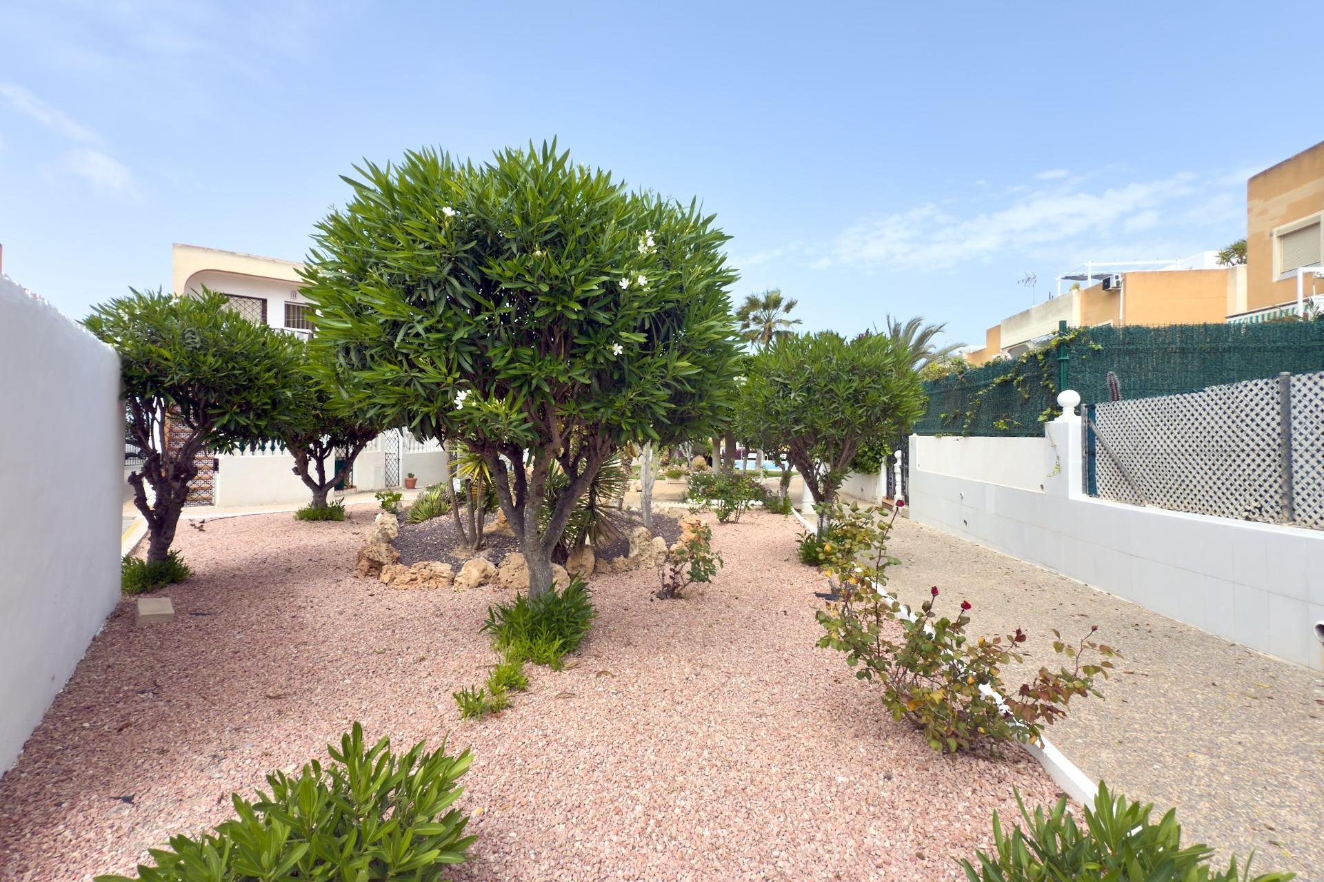 Revente - Bungalow - Torrevieja - Torreblanca
