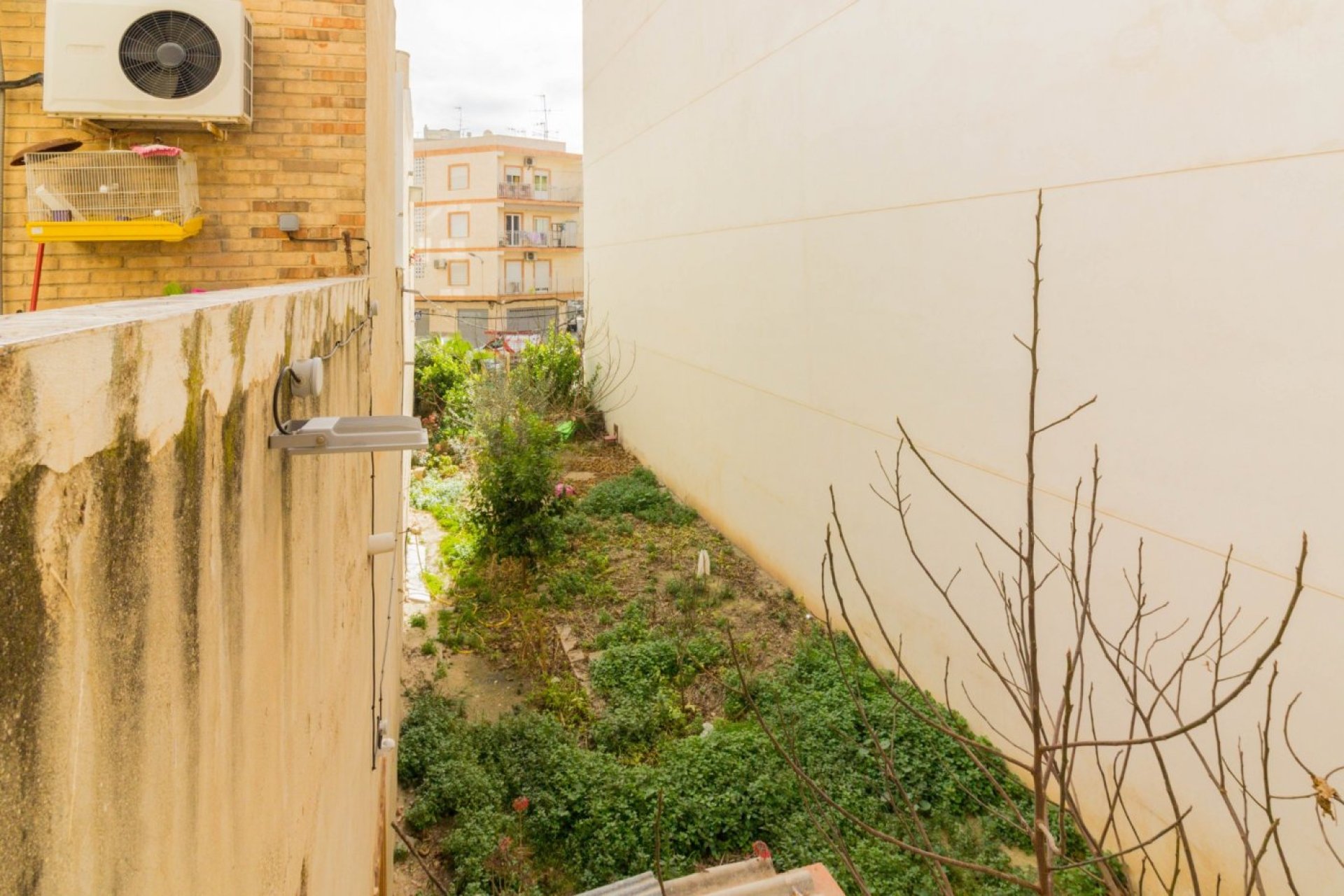 Revente - Casa con terreno - Callosa de Segura - C- FILARMONICA