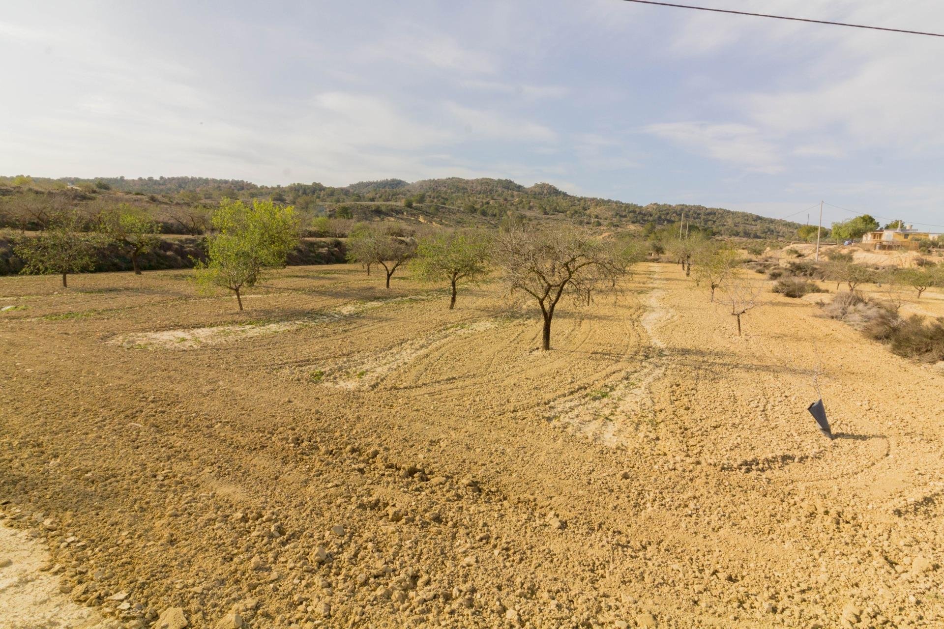 Revente - Casa con terreno - Orihuela - Desamparados-Hurchillo-Torremendo