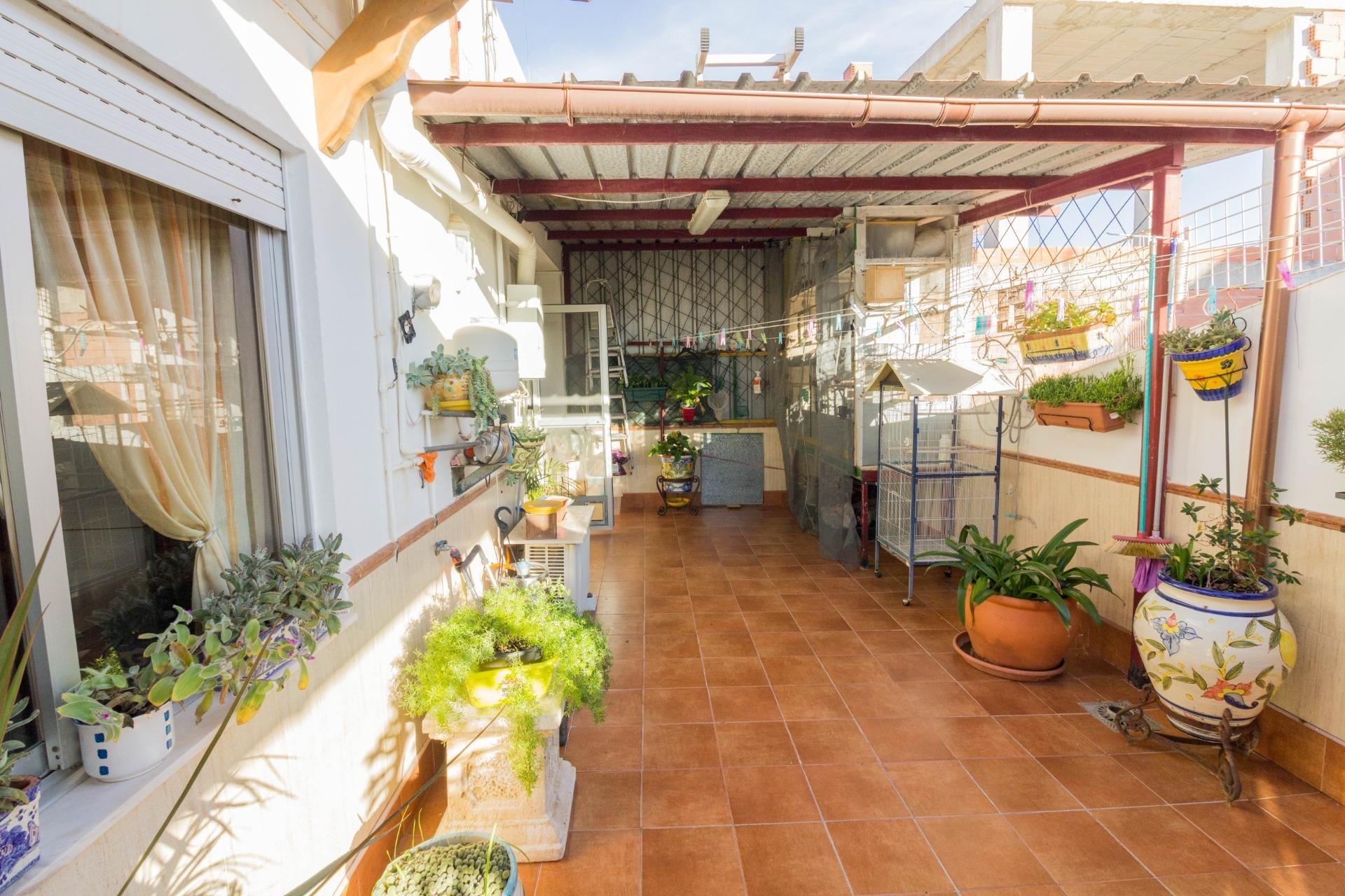 Revente - Casa - Cox - Avda. del carmen