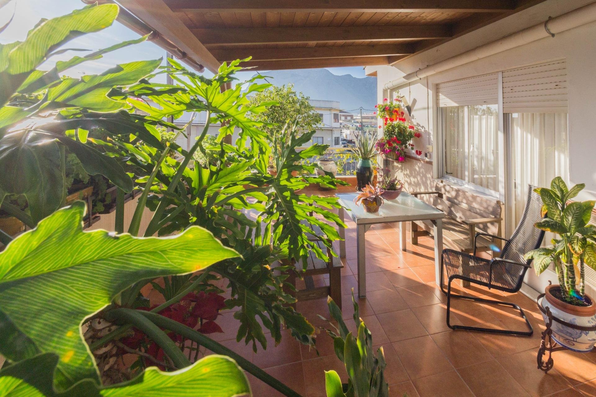 Revente - Casa - Cox - Avda. del carmen