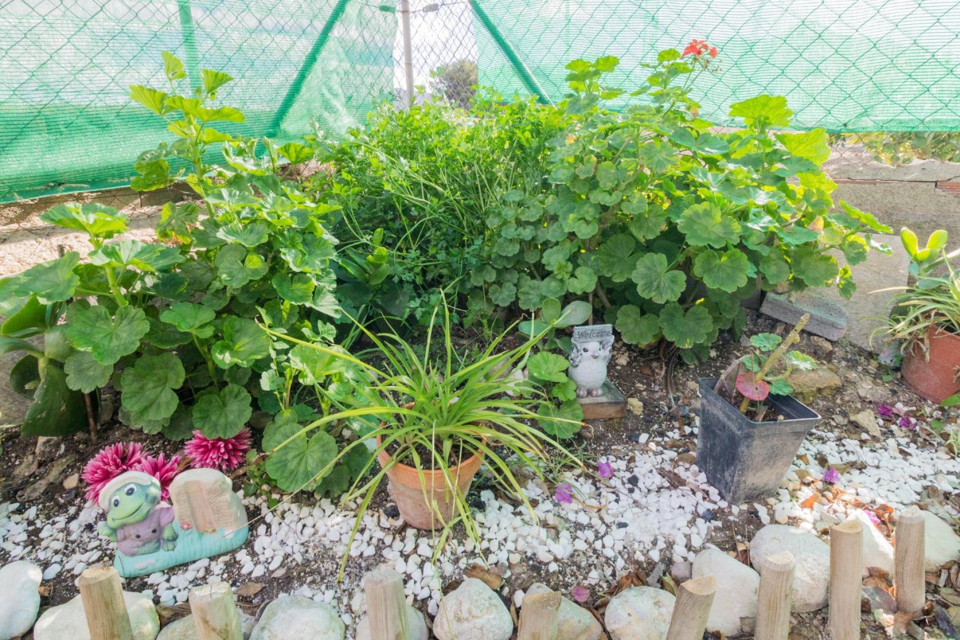 Revente - Casa - Granja de Rocamora - GRANJA