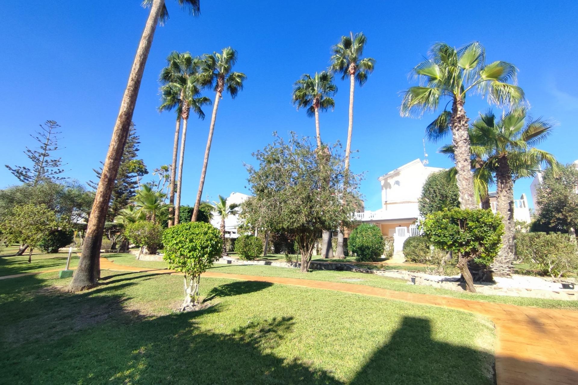 Revente - Casa - Guardamar del Segura - El moncayo