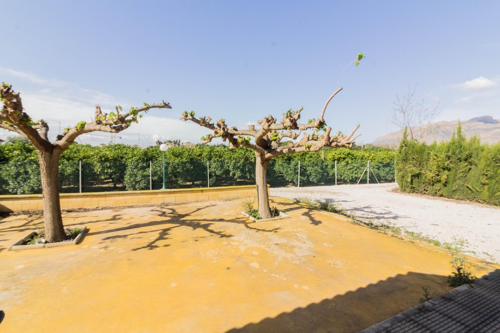 Revente - Casa - Orihuela - Desamparados-Hurchillo-Torremendo