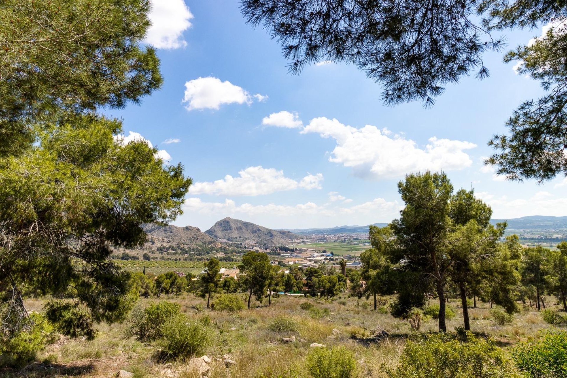 Revente - Casa - Orihuela - Zona Centro