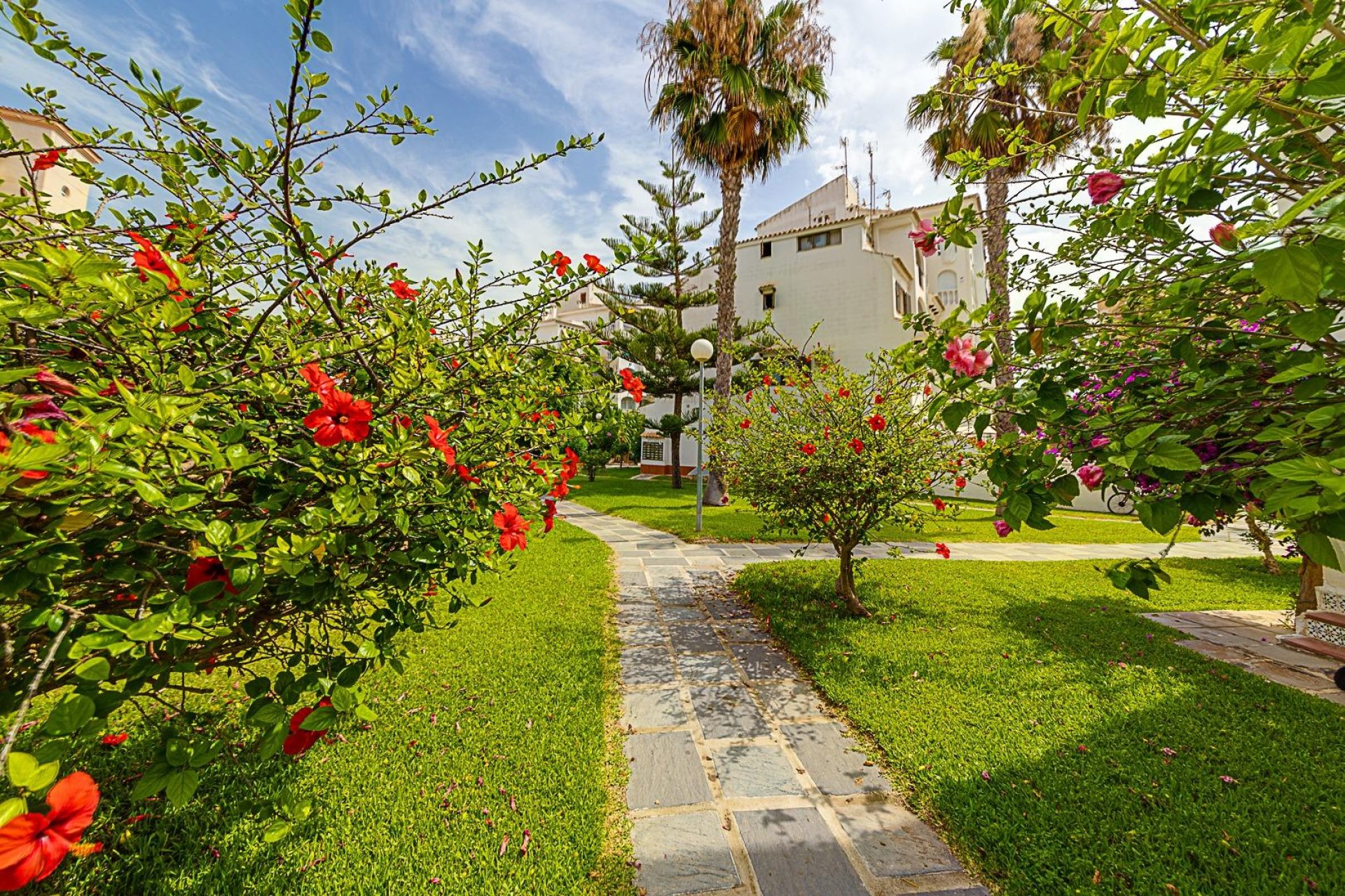 Revente - Casa Tipo Dúplex - Torrevieja - Calas blanca