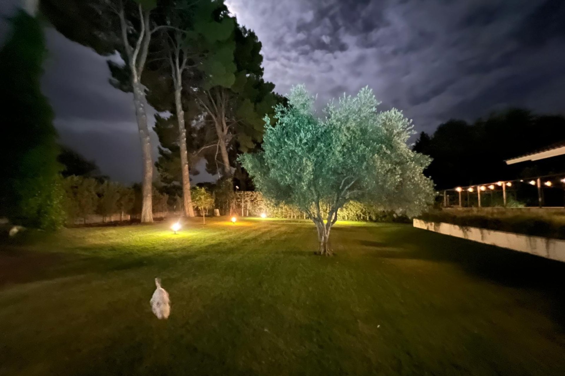 Revente - Chalet - Albacete - Agua sol