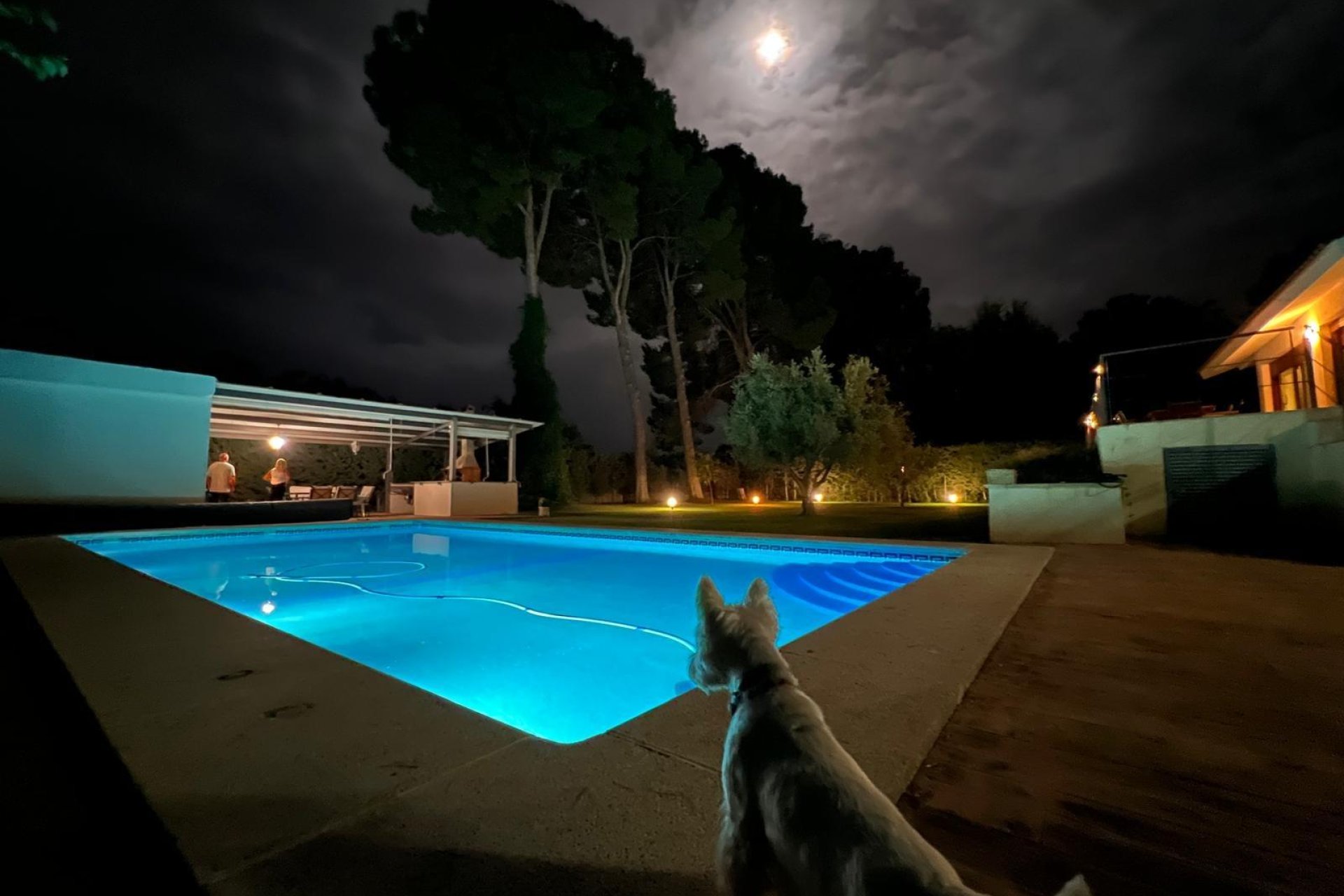 Revente - Chalet - Albacete - Agua sol