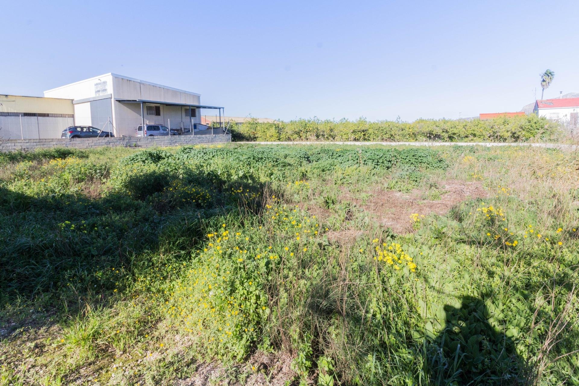 Revente - Chalet - EL RAAL - El Raal