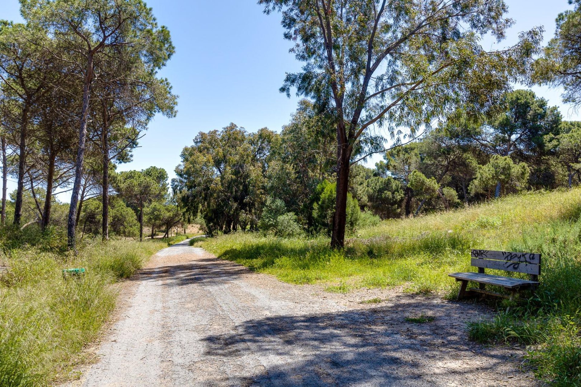 Revente - Chalet - San Fulgencio - La Marina