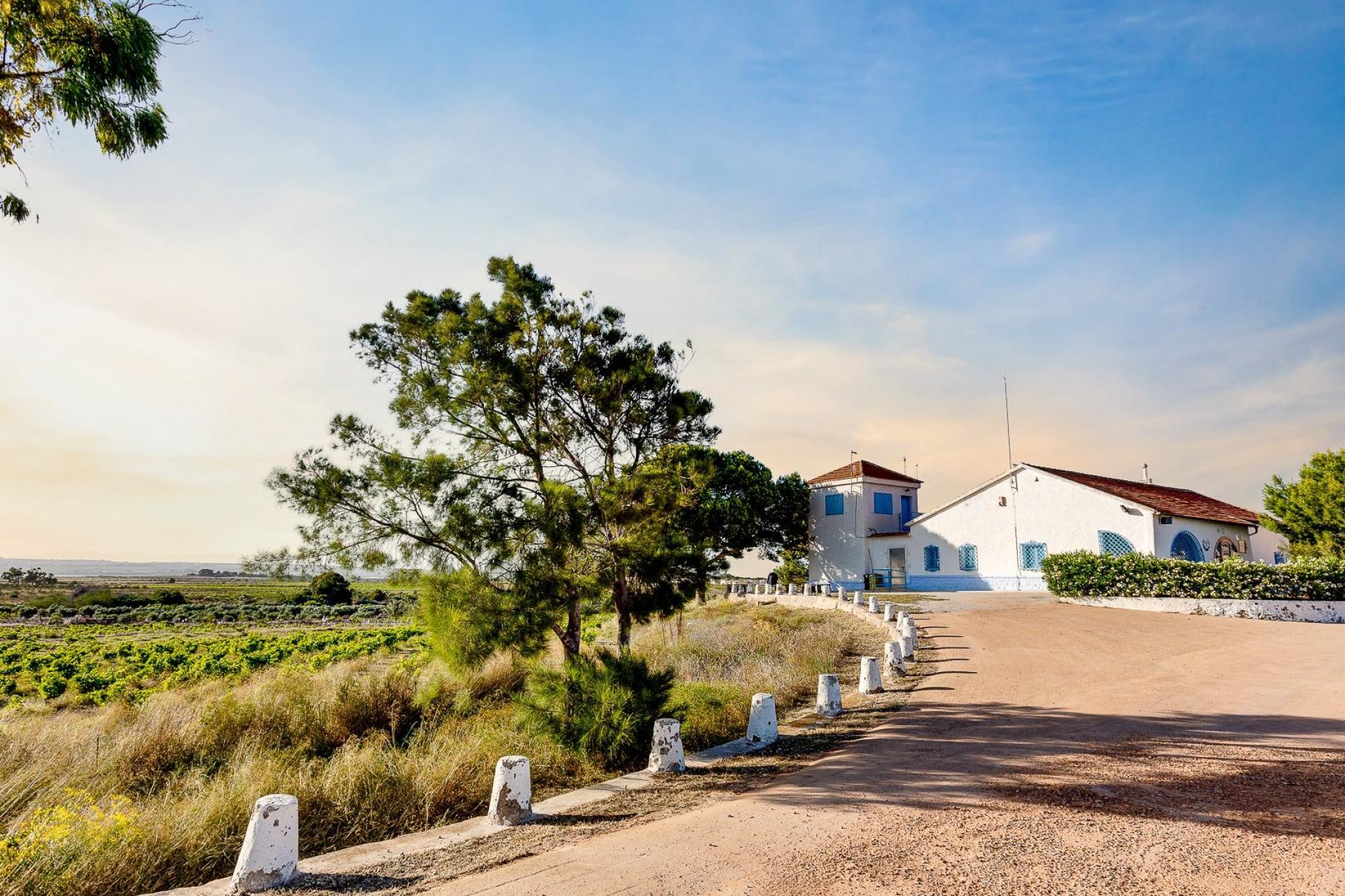 Revente - Chalet - Torrevieja - La siesta