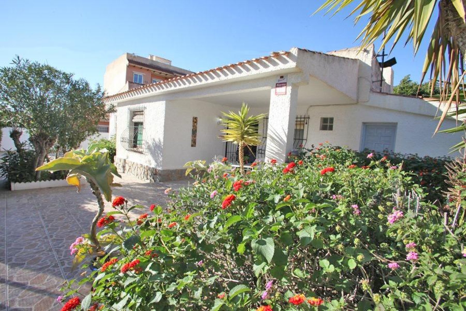 Revente - Chalet - Torrevieja - Los Frutales