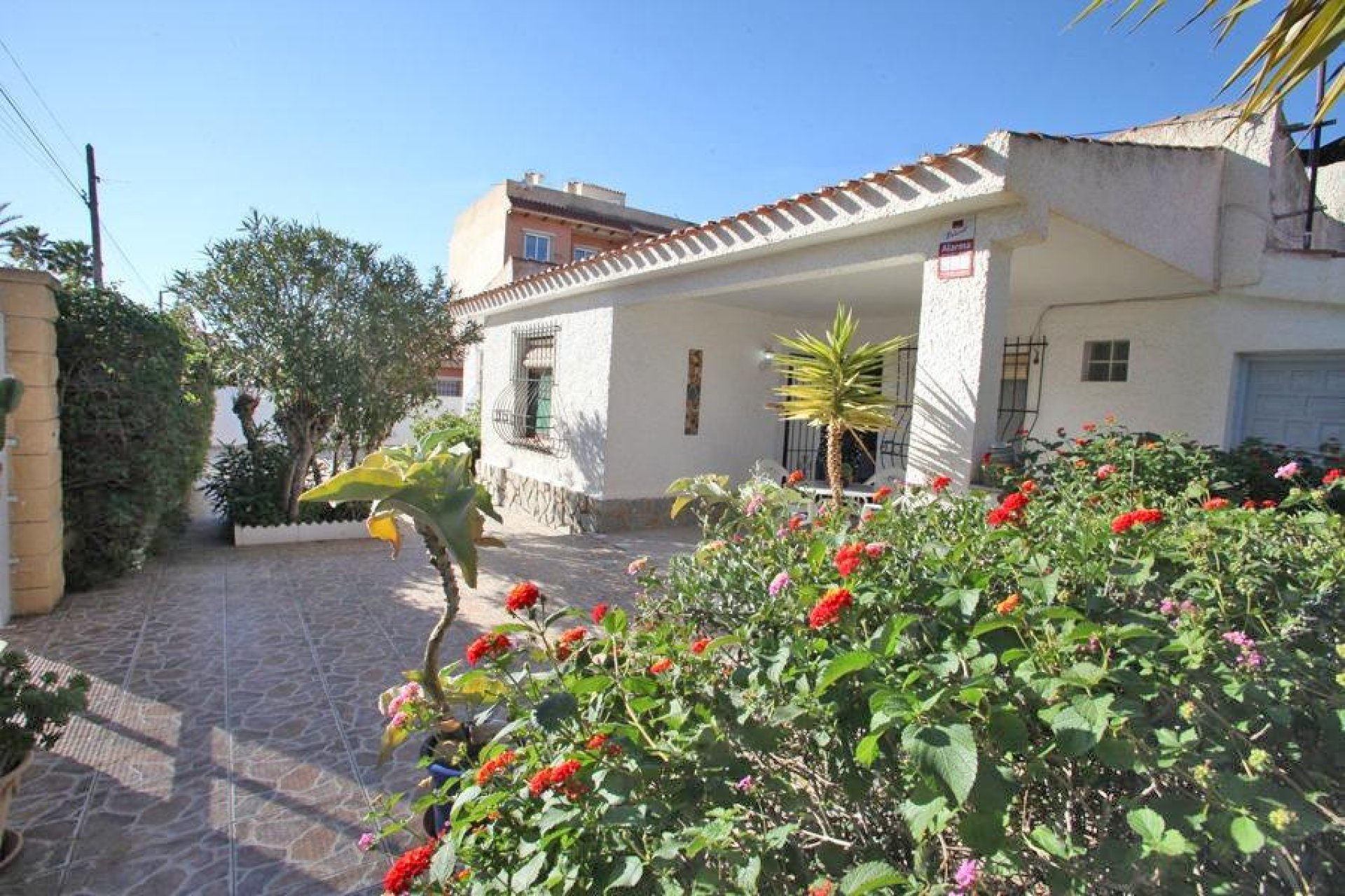 Revente - Chalet - Torrevieja - Los Frutales