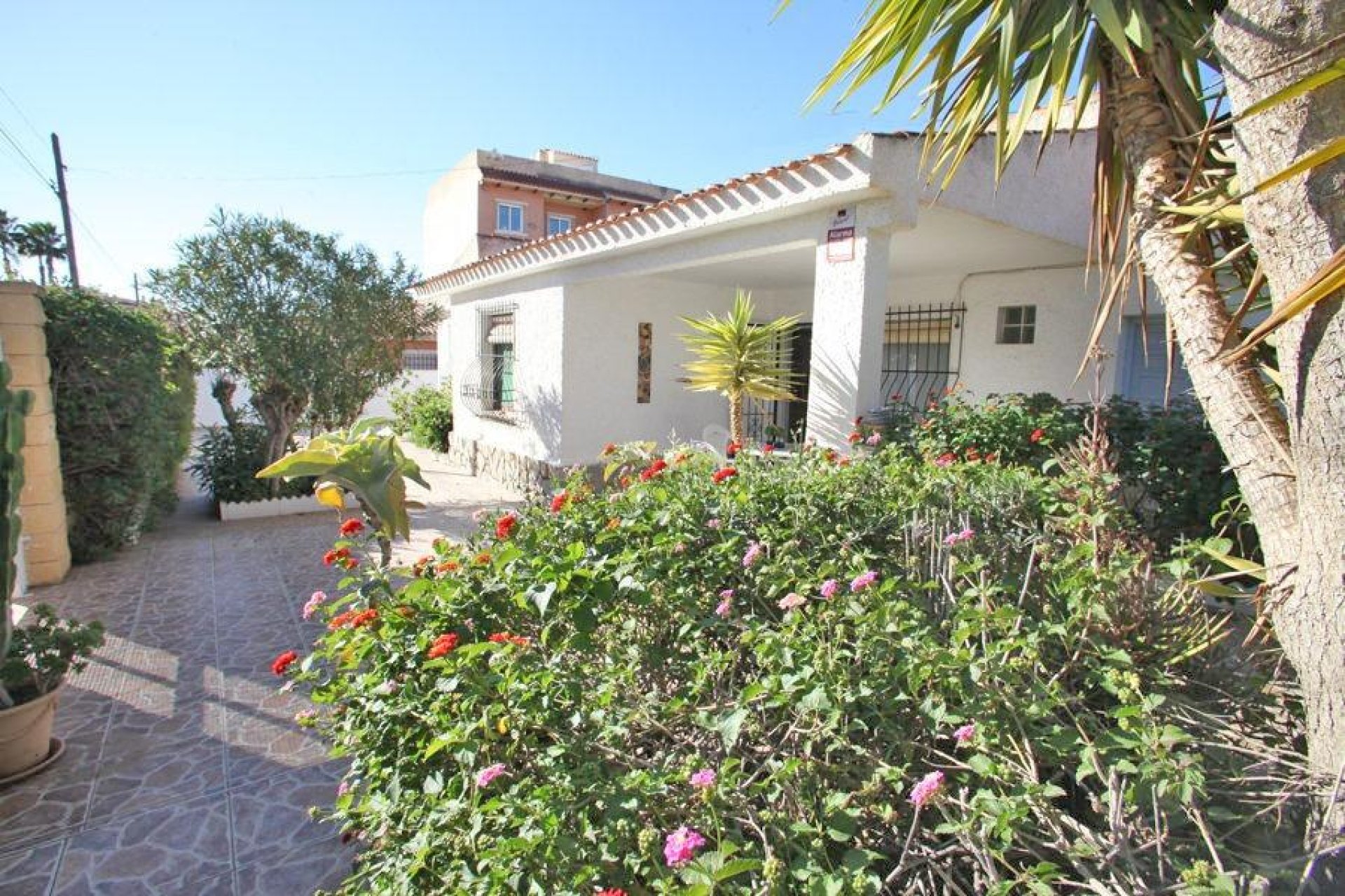 Revente - Chalet - Torrevieja - Los Frutales