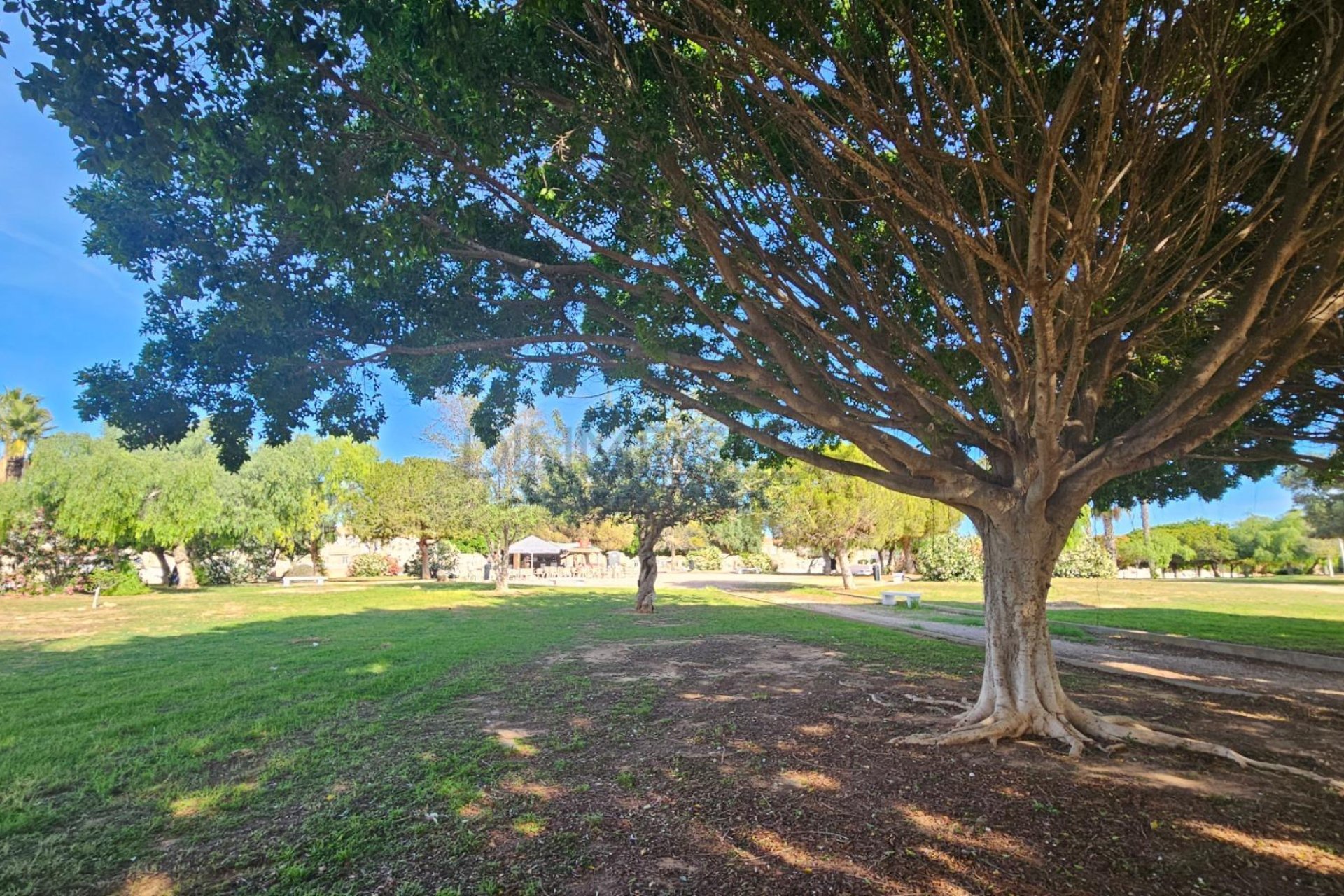 Revente - Duplex - Torrevieja - Aguas Nuevas