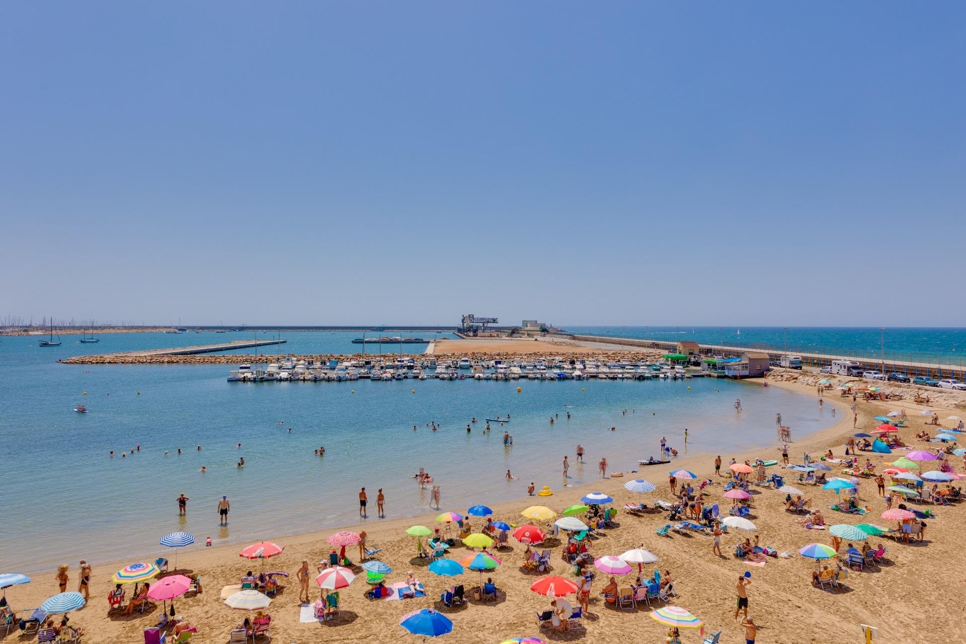 Revente - Étude - Torrevieja - Acequion