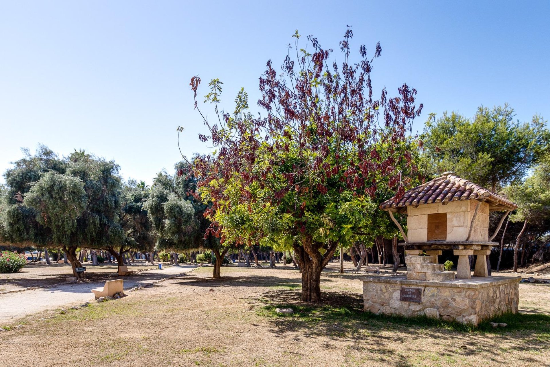 Revente - Étude - Torrevieja - Acequion