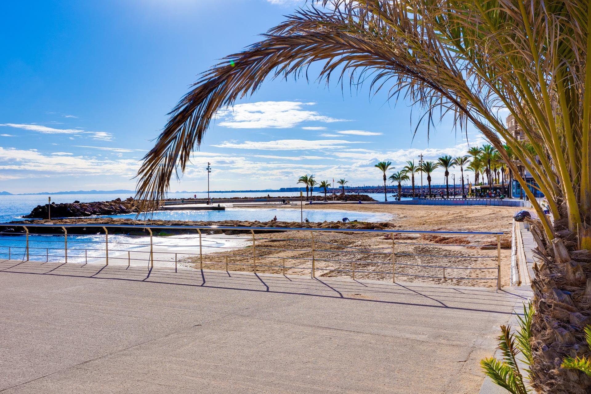 Revente - Étude - Torrevieja - Centro