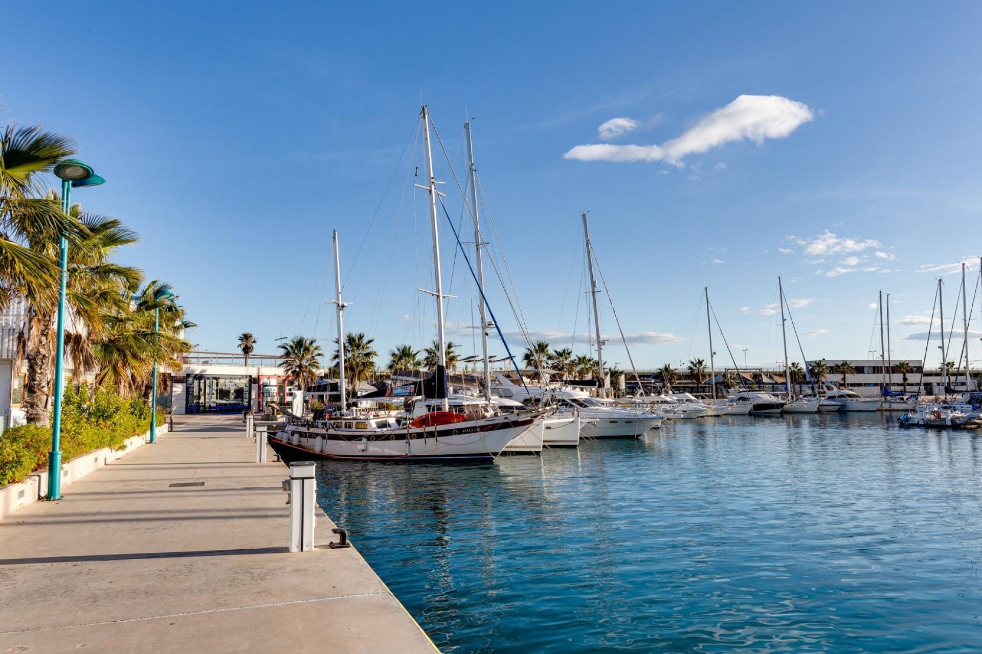 Revente - Étude - Torrevieja - Centro