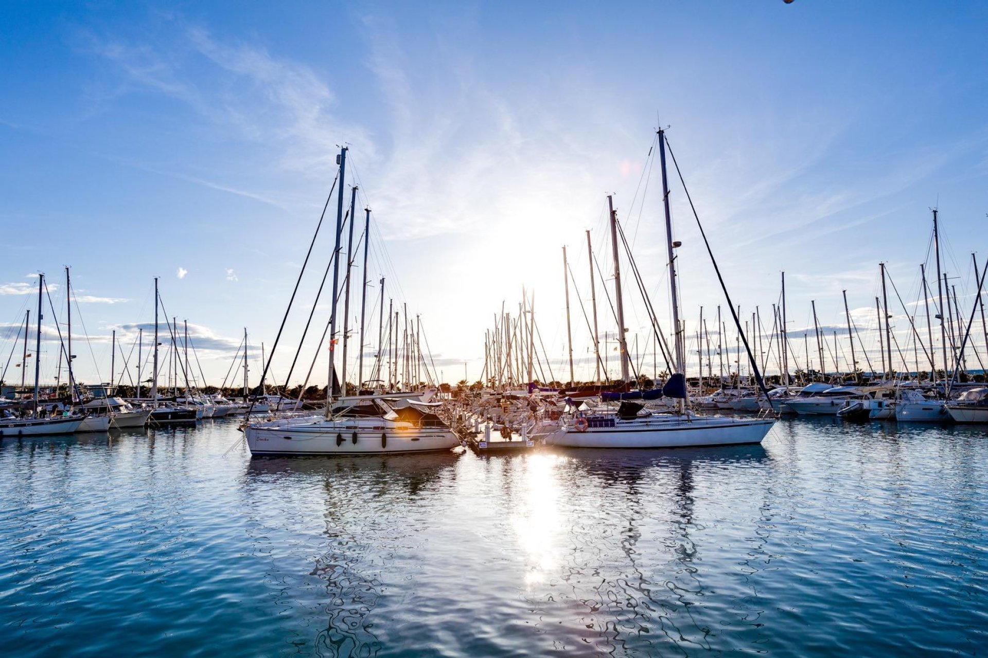 Revente - Étude - Torrevieja - Centro