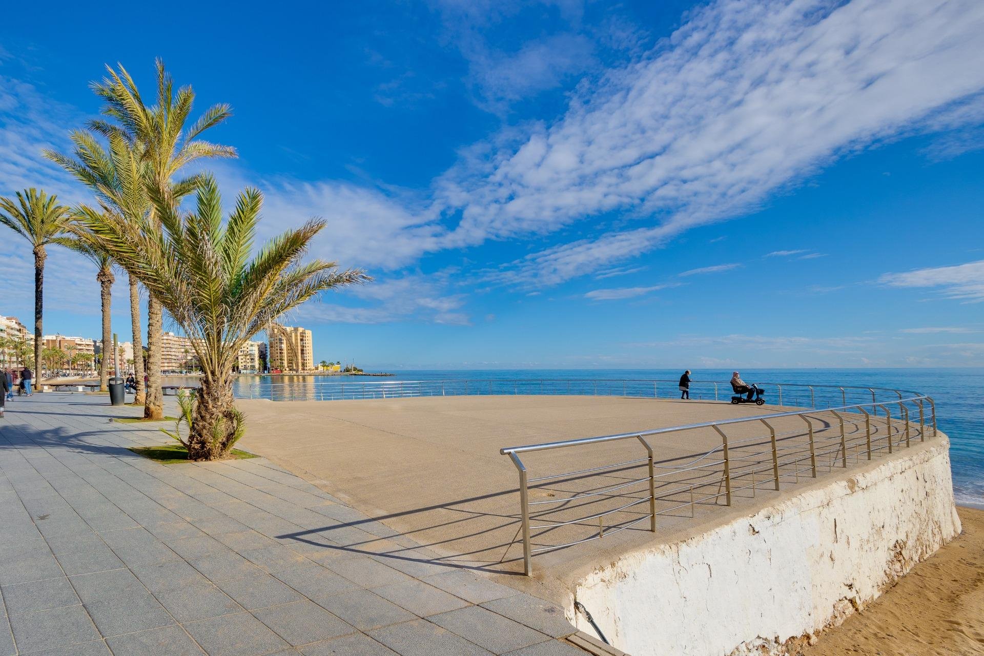 Revente - Étude - Torrevieja - Centro