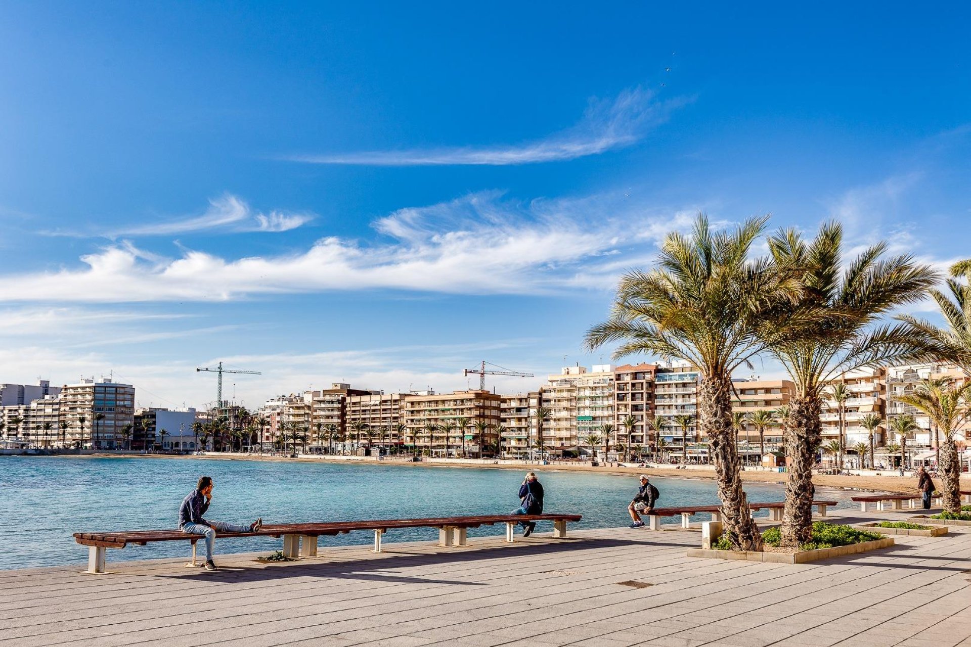 Revente - Étude - Torrevieja - Centro