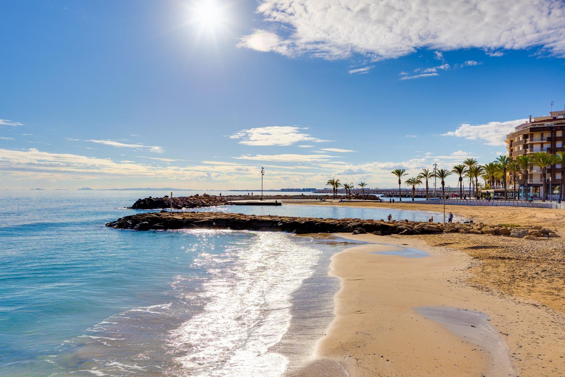 Revente - Étude - Torrevieja - Centro